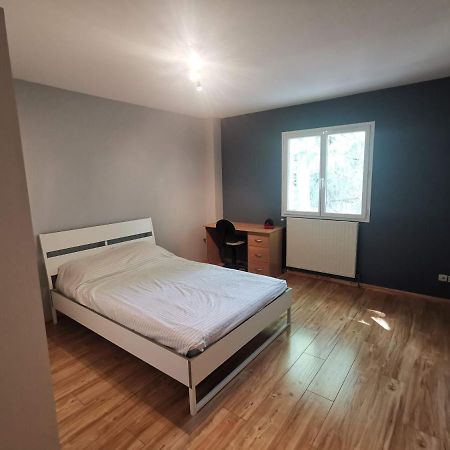 Chambre D'Hote Dans Une Maison Avec Parking Privee Saint-Etienne  Eksteriør billede